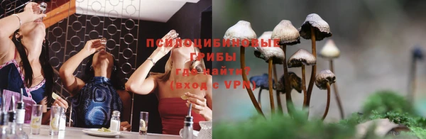 молекула духа Майский