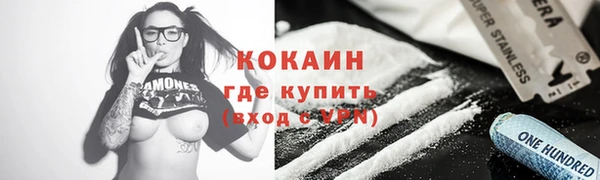 молекула духа Майский