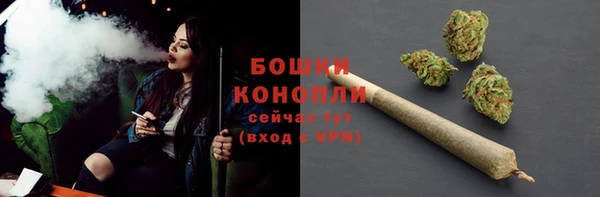 молекула духа Майский