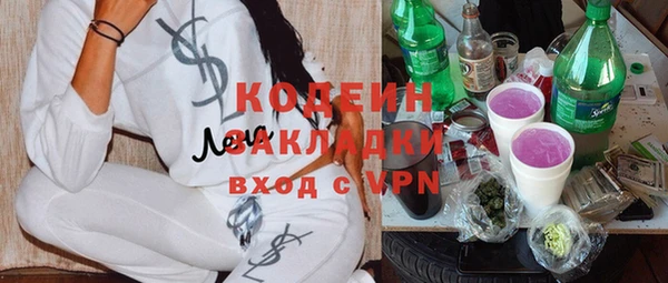 молекула духа Майский