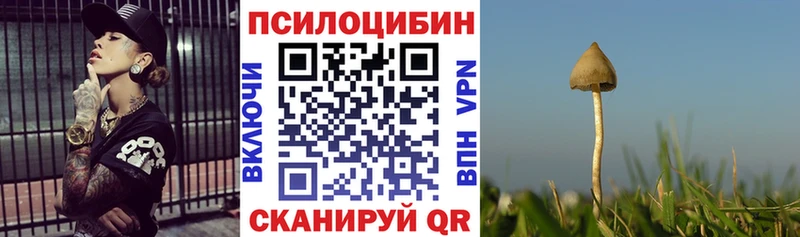 Псилоцибиновые грибы прущие грибы  Евпатория 